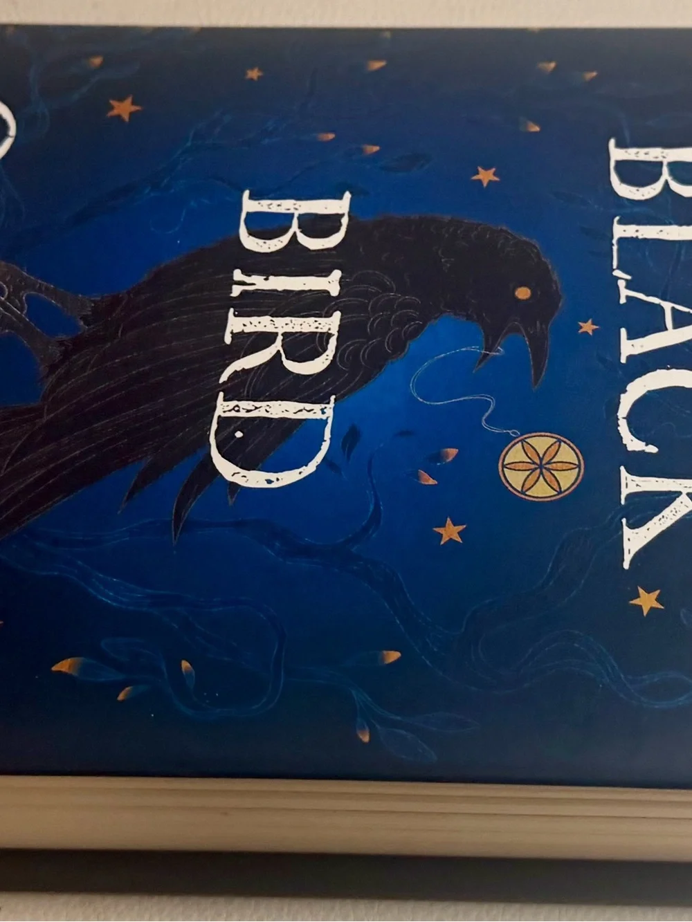 The Black Bird Oracle Hardcover Book Deborah Harkness 2024 1st Edition Like New
